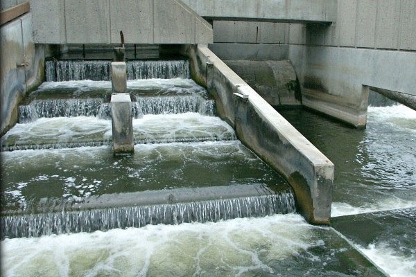 Осмотрщик гидротехнических сооружений